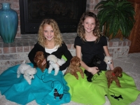 Oodles of Poodles