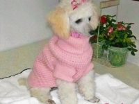 Sophie