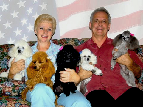 About Us | Rainbow Toy Poodles
